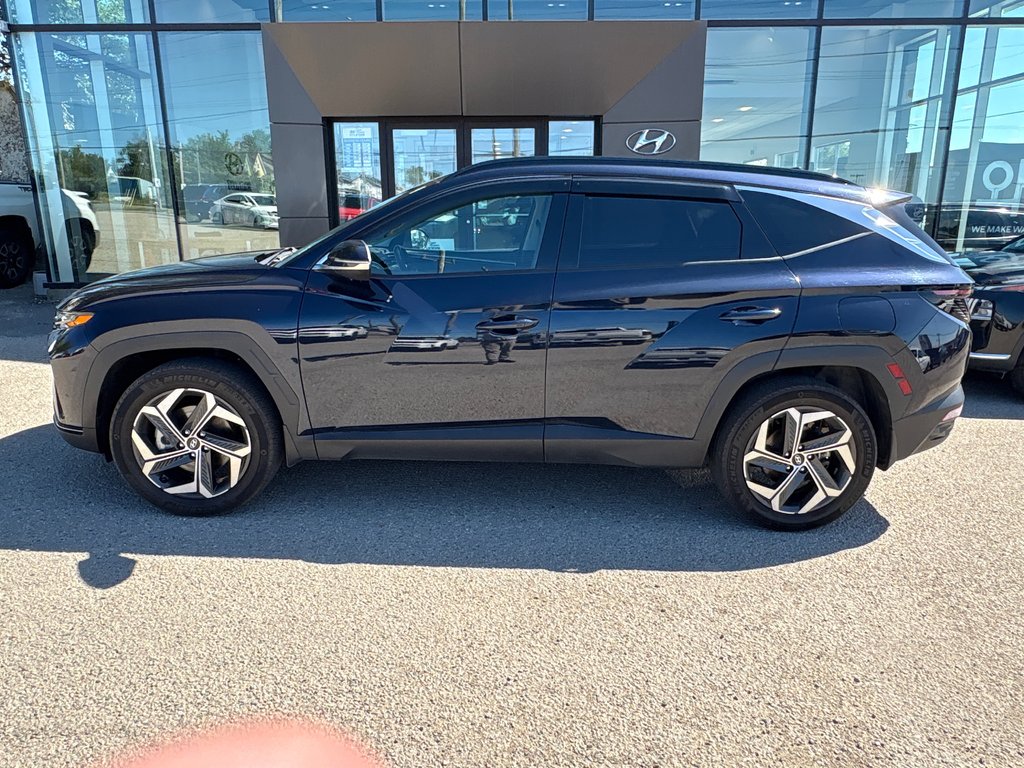 2023 Hyundai Tucson Hybrid in Sydney, Nova Scotia - 2 - w1024h768px