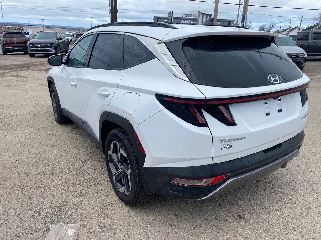 2024 Hyundai Tucson Plug-In Hybrid Ultimate in Sydney, Nova Scotia - 4 - w1024h768px