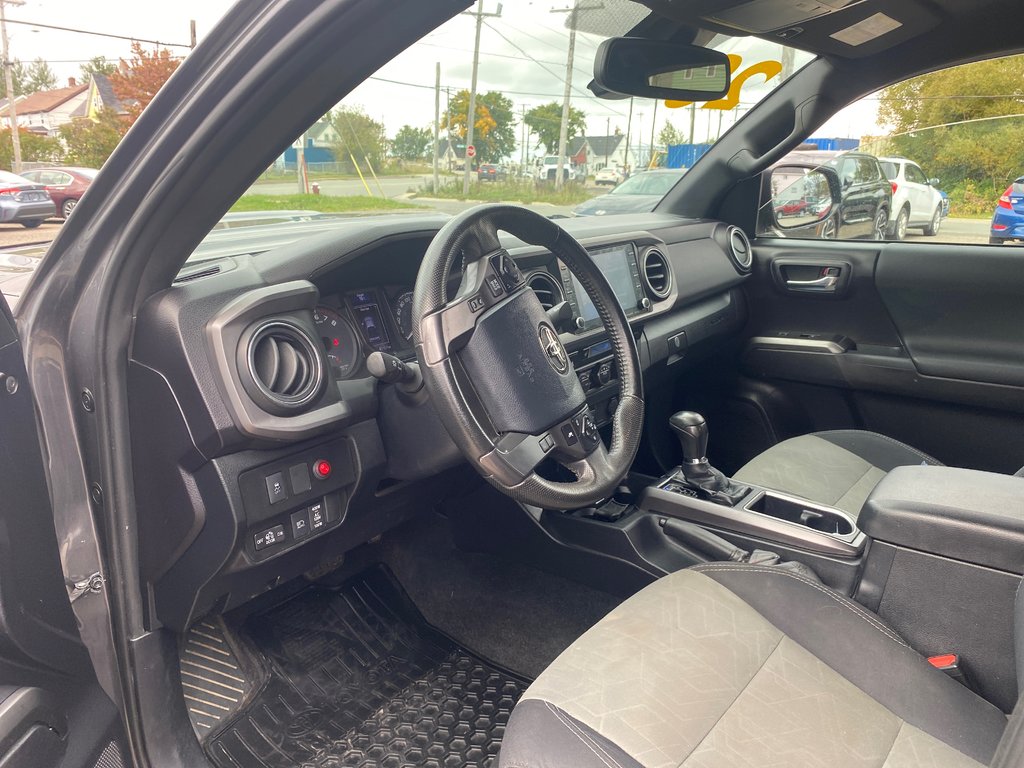 2020  Tacoma in Sydney, Nova Scotia - 5 - w1024h768px