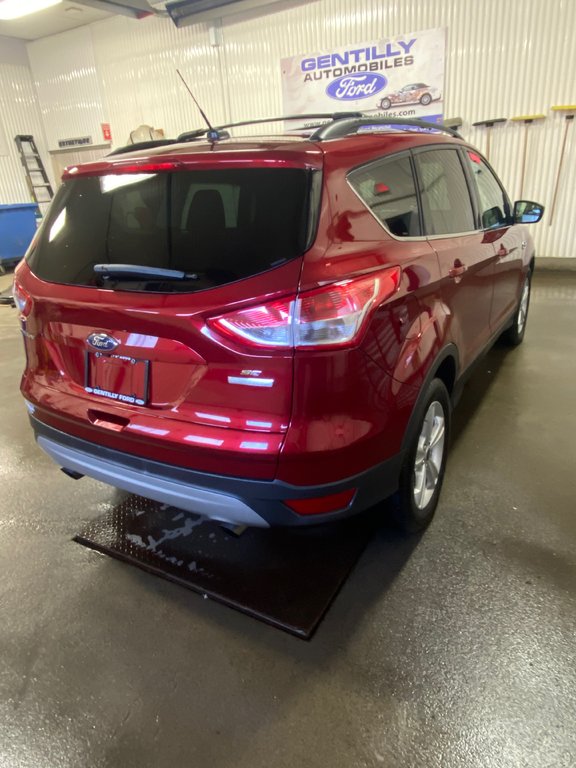 2016  Escape SE in Bécancour (Gentilly Sector), Quebec - 4 - w1024h768px