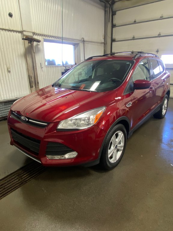 2016  Escape SE in Bécancour (Gentilly Sector), Quebec - 2 - w1024h768px