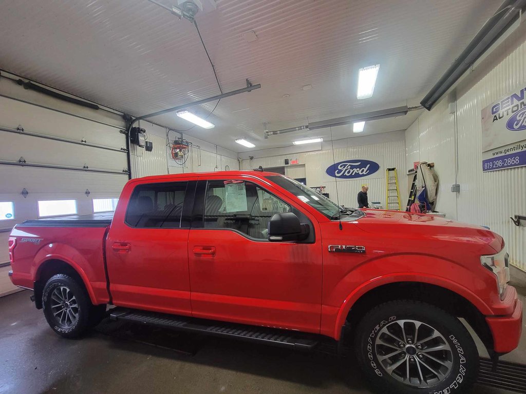2020  F-150 in Bécancour (Gentilly Sector), Quebec - 3 - w1024h768px