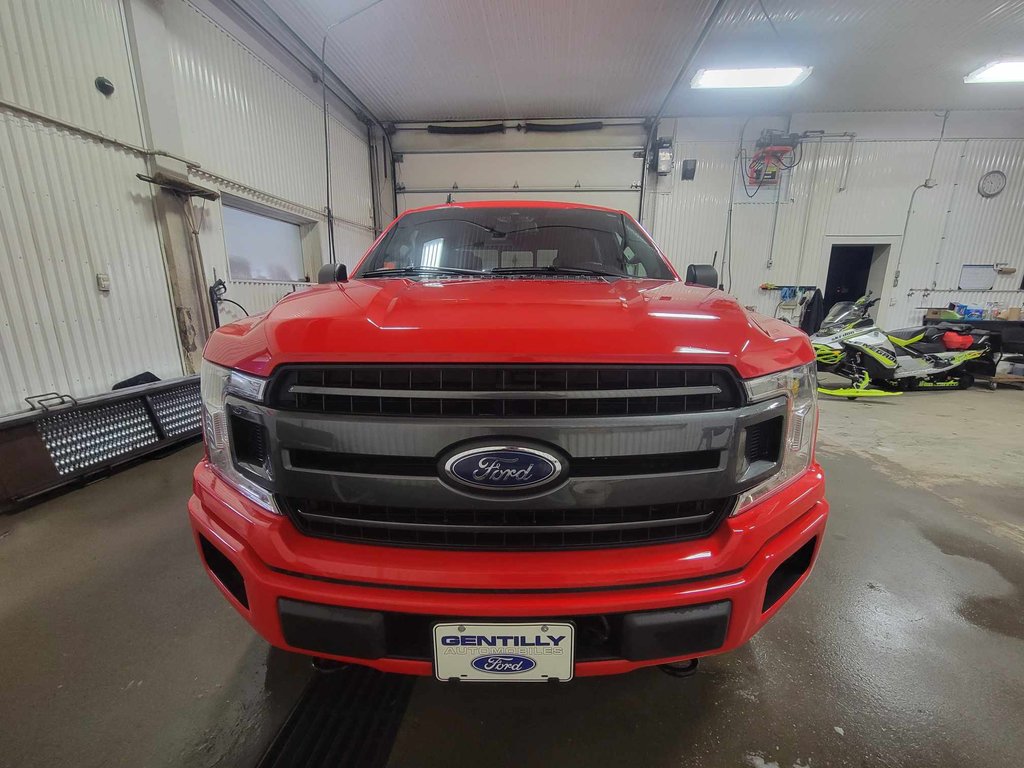2020  F-150 in Bécancour (Gentilly Sector), Quebec - 4 - w1024h768px