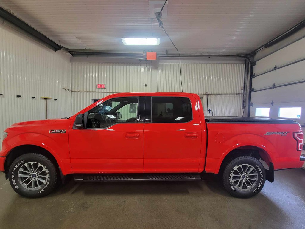 2020  F-150 in Bécancour (Gentilly Sector), Quebec - 6 - w1024h768px