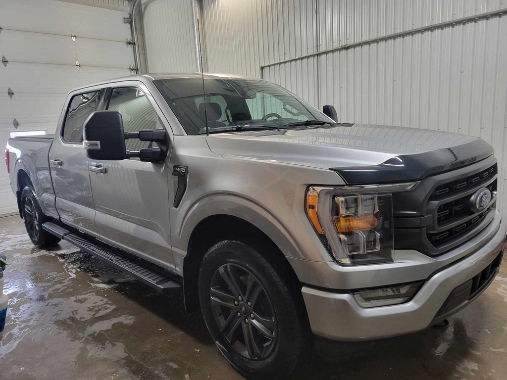 2021  F-150 in Bécancour (Gentilly Sector), Quebec - 1 - w1024h768px