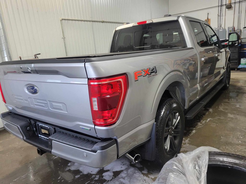 2021  F-150 in Bécancour (Gentilly Sector), Quebec - 11 - w1024h768px