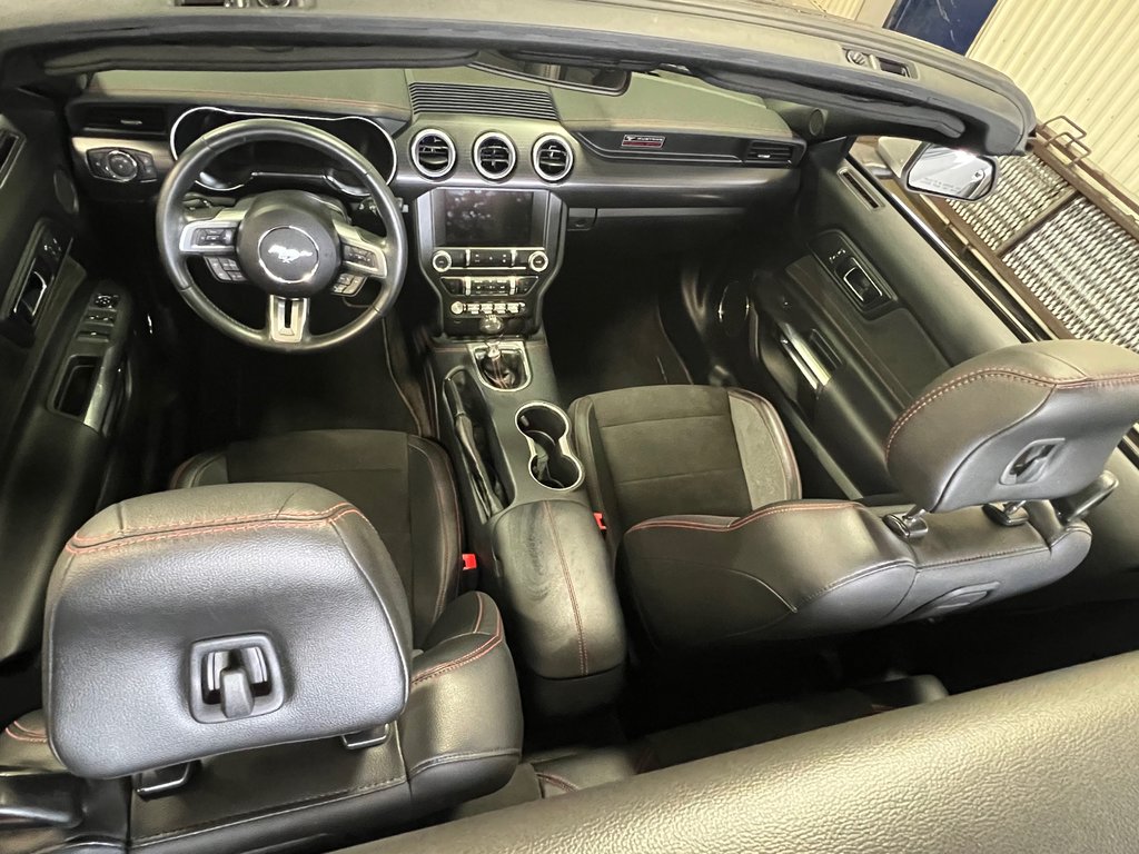 Mustang GT Premium 2019 à Bécancour (Secteur Gentilly), Québec - 9 - w1024h768px