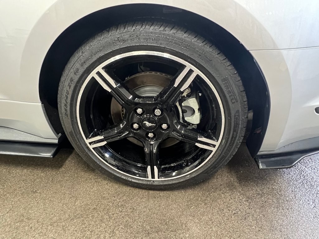 Mustang GT Premium 2019 à Bécancour (Secteur Gentilly), Québec - 12 - w1024h768px