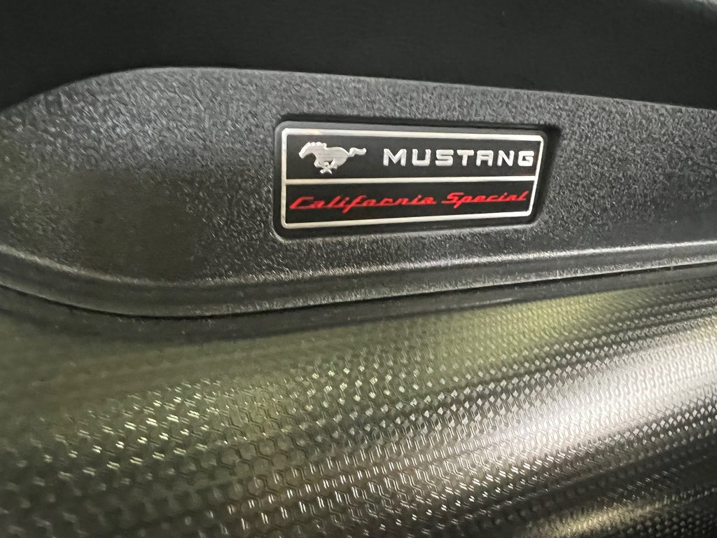 Mustang GT Premium 2019 à Bécancour (Secteur Gentilly), Québec - 18 - w1024h768px