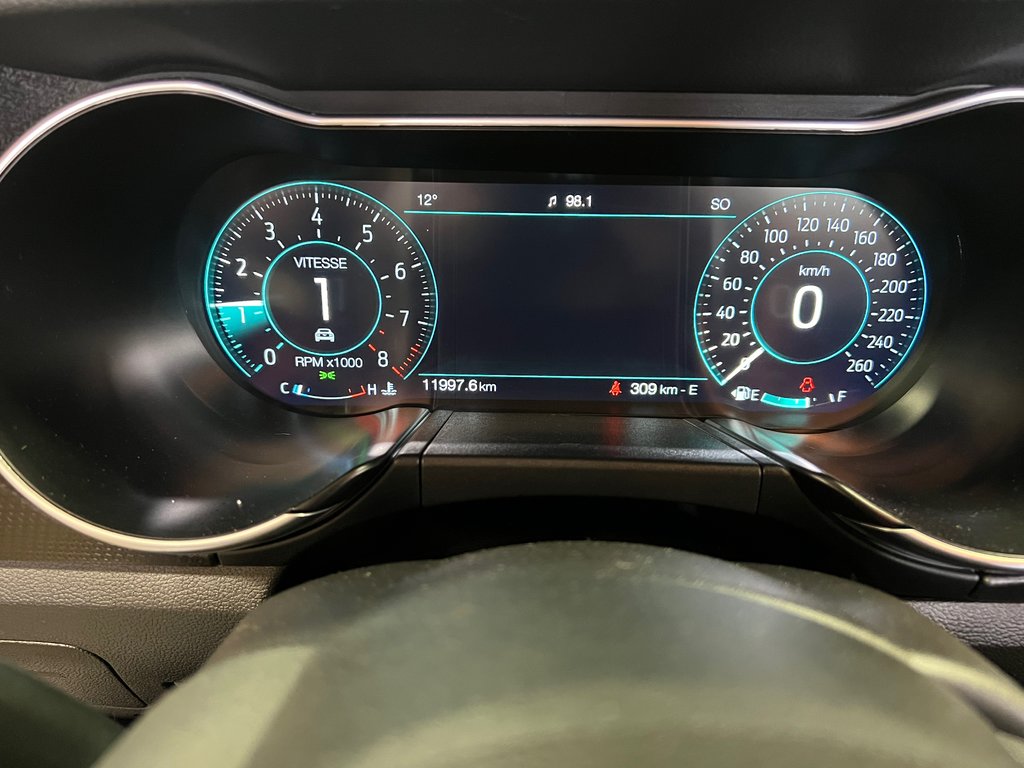 Mustang GT Premium 2019 à Bécancour (Secteur Gentilly), Québec - 15 - w1024h768px