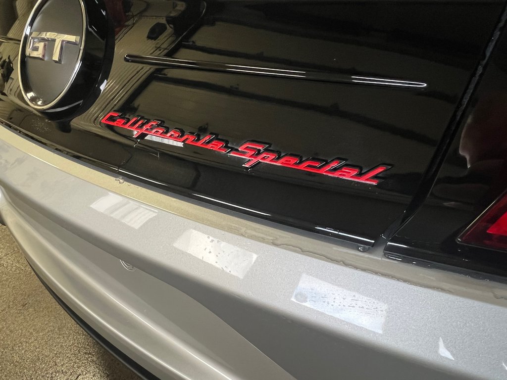 Mustang GT Premium 2019 à Bécancour (Secteur Gentilly), Québec - 10 - w1024h768px