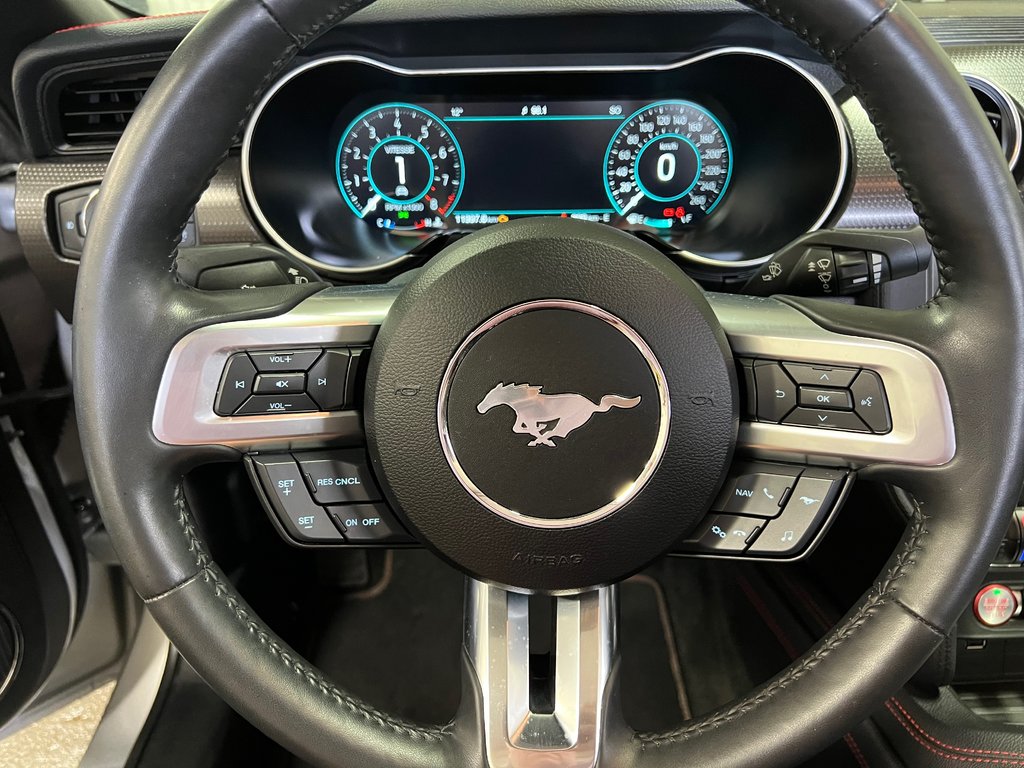 Mustang GT Premium 2019 à Bécancour (Secteur Gentilly), Québec - 14 - w1024h768px