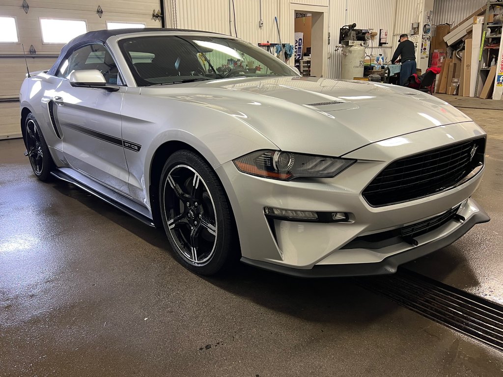 2019  Mustang GT Premium in Bécancour (Gentilly Sector), Quebec - 1 - w1024h768px