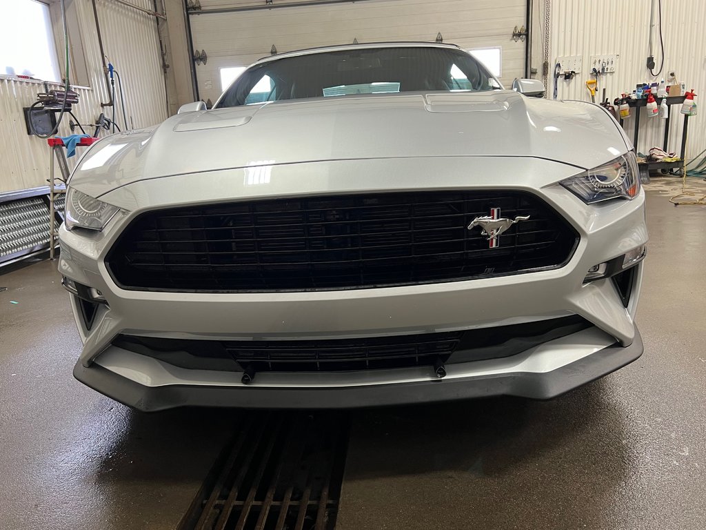 2019  Mustang GT Premium in Bécancour (Gentilly Sector), Quebec - 4 - w1024h768px