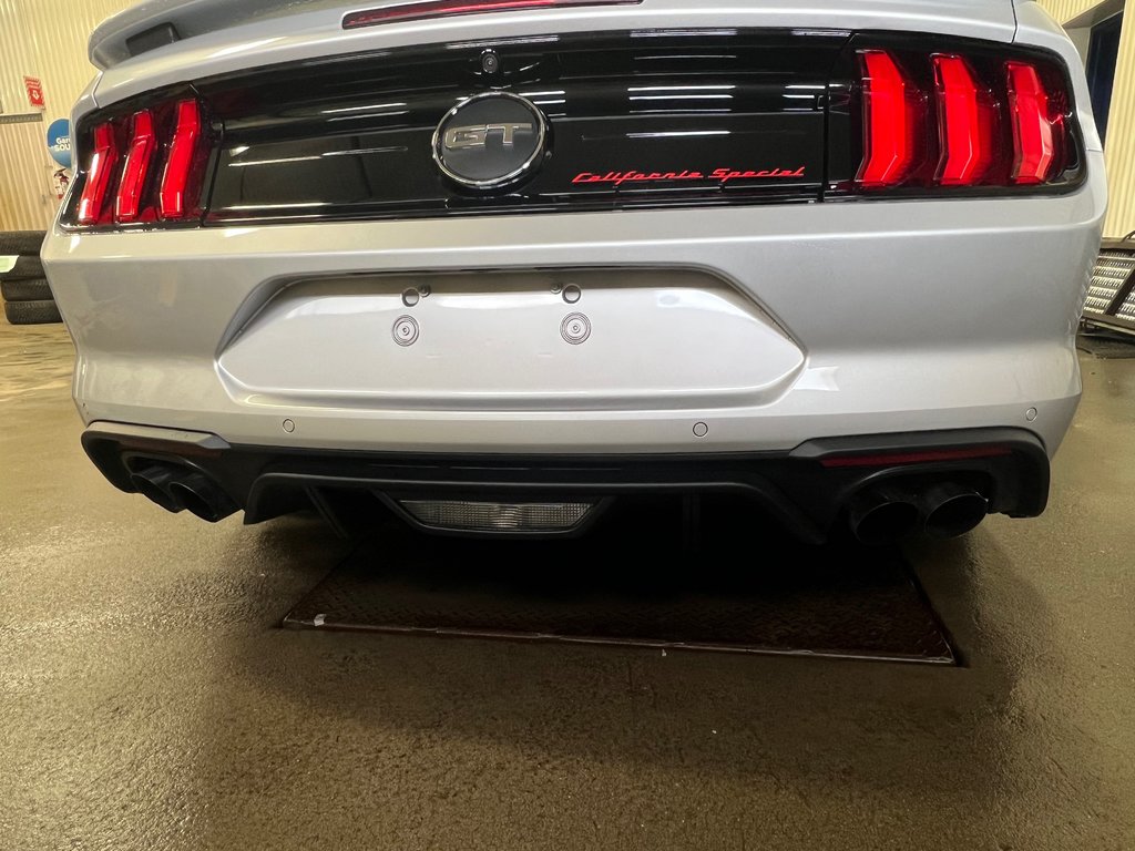Mustang GT Premium 2019 à Bécancour (Secteur Gentilly), Québec - 6 - w1024h768px