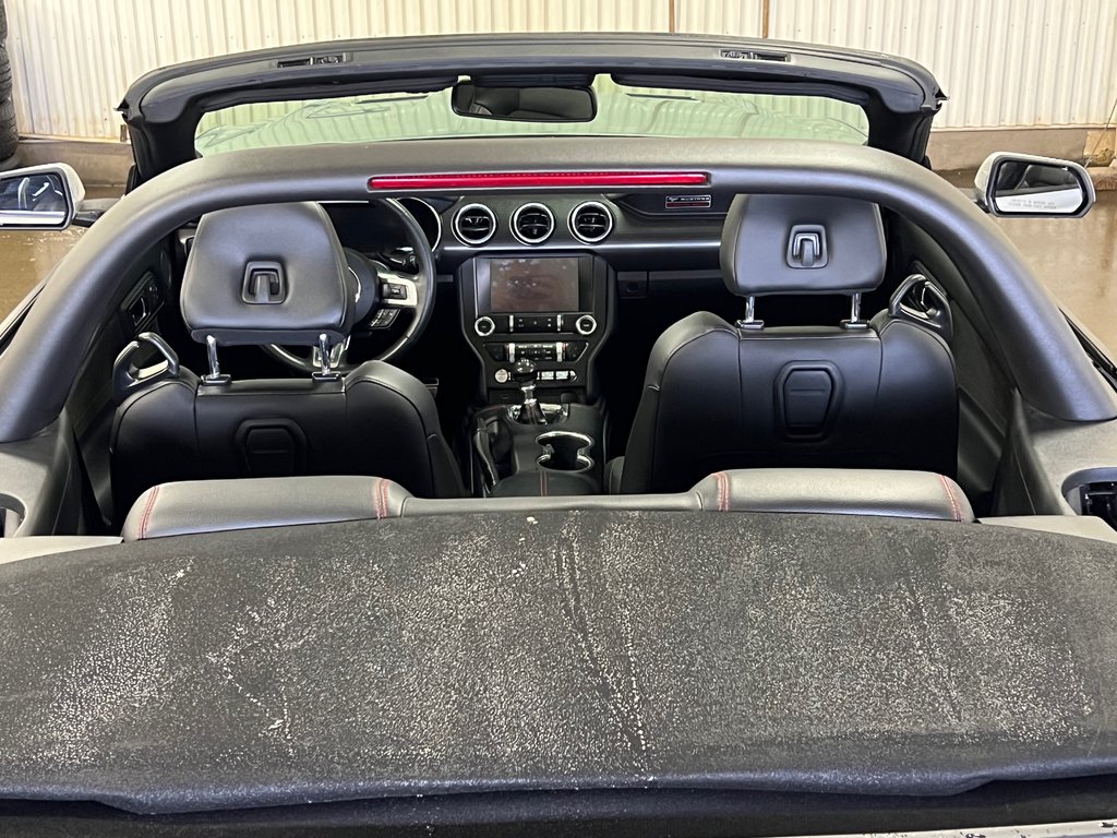 Mustang GT Premium 2019 à Bécancour (Secteur Gentilly), Québec - 8 - w1024h768px