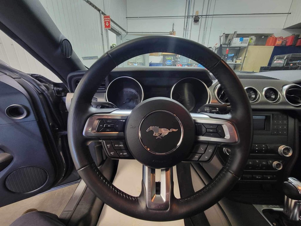 Mustang GT TRACK PACK 2021 à Bécancour (Secteur Gentilly), Québec - 17 - w1024h768px