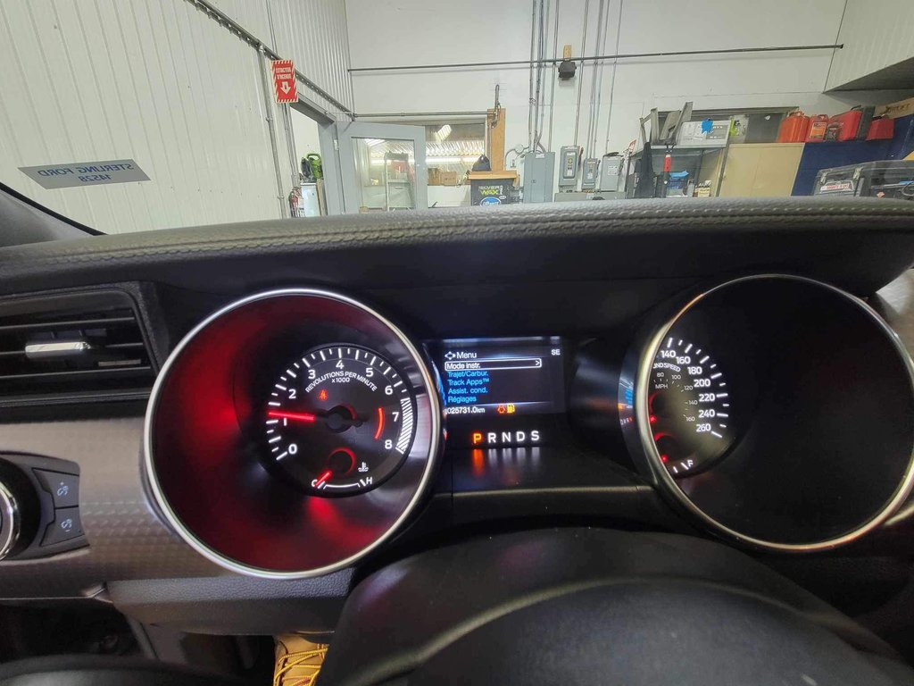 Mustang GT TRACK PACK 2021 à Bécancour (Secteur Gentilly), Québec - 26 - w1024h768px