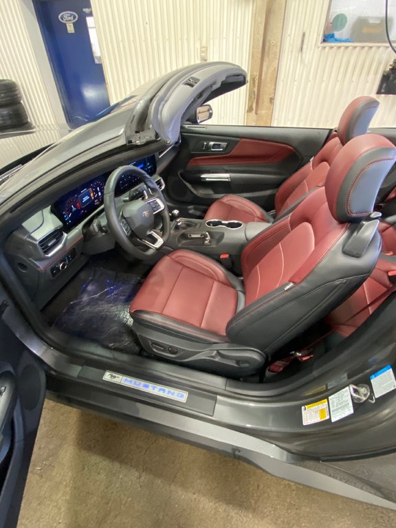 Mustang GT Premium 2024 à Bécancour (Secteur Gentilly), Québec - 11 - w1024h768px