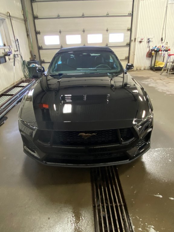 Mustang GT Premium 2024 à Bécancour (Secteur Gentilly), Québec - 2 - w1024h768px
