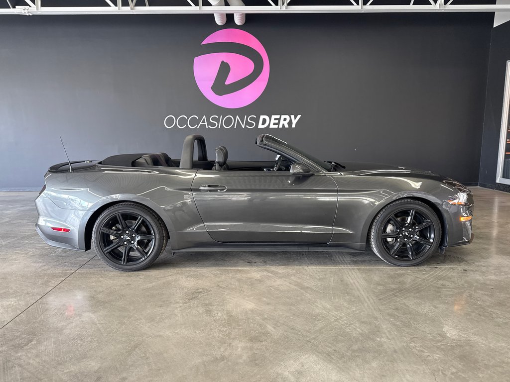 2018 Ford Mustang PREMIUM BLACK PACKAGE in Saint-Jean-Sur-Richelieu, Quebec - 7 - w1024h768px