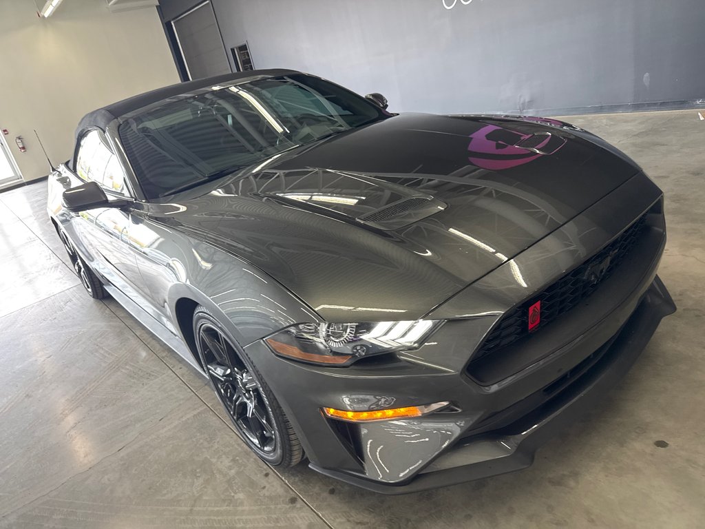2018 Ford Mustang PREMIUM BLACK PACKAGE in Saint-Jean-Sur-Richelieu, Quebec - 2 - w1024h768px