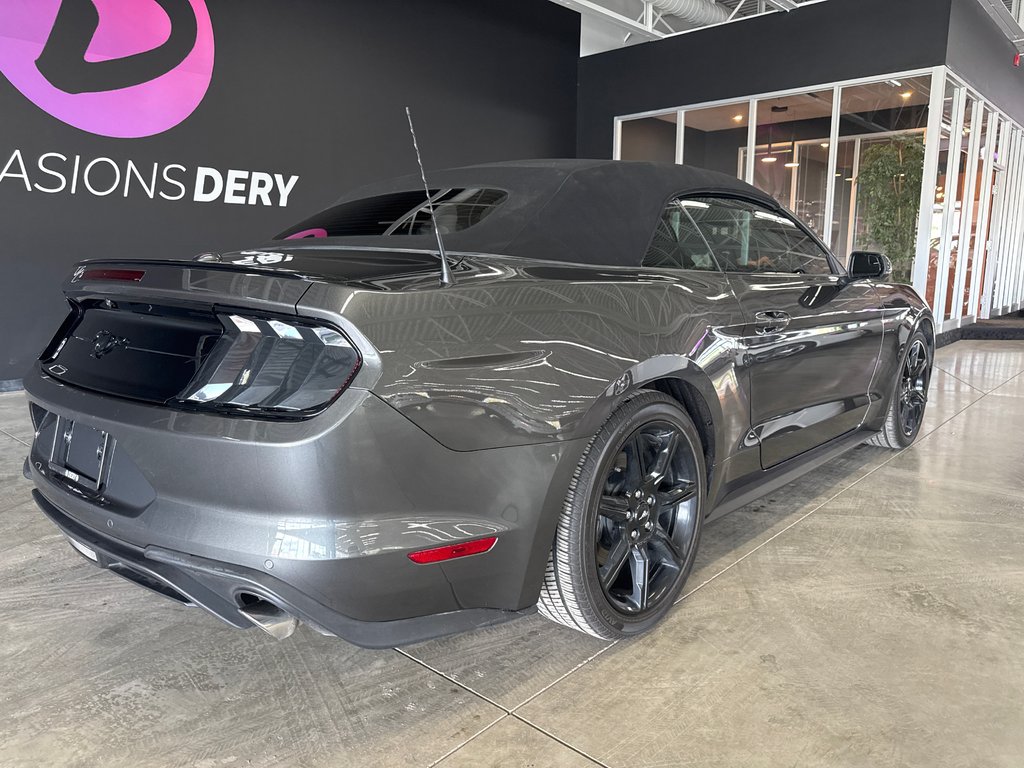 2018 Ford Mustang PREMIUM BLACK PACKAGE in Saint-Jean-Sur-Richelieu, Quebec - 4 - w1024h768px