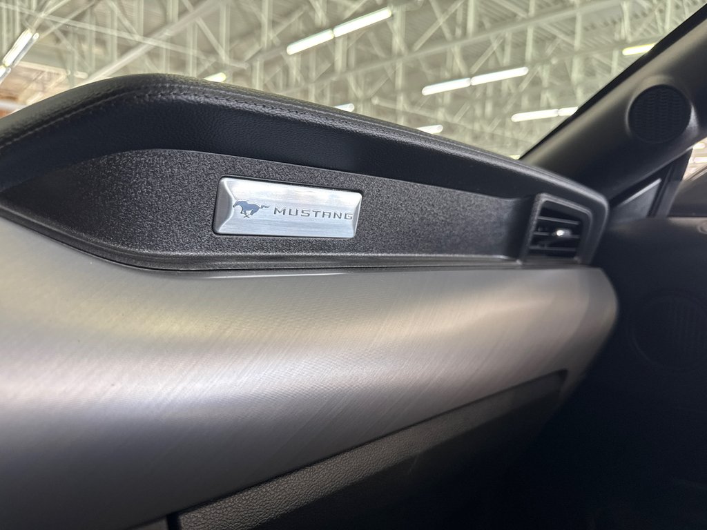 2018 Ford Mustang PREMIUM BLACK PACKAGE in Saint-Jean-Sur-Richelieu, Quebec - 18 - w1024h768px