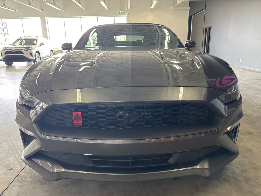 2018 Ford Mustang PREMIUM BLACK PACKAGE in Saint-Jean-Sur-Richelieu, Quebec - 3 - w1024h768px