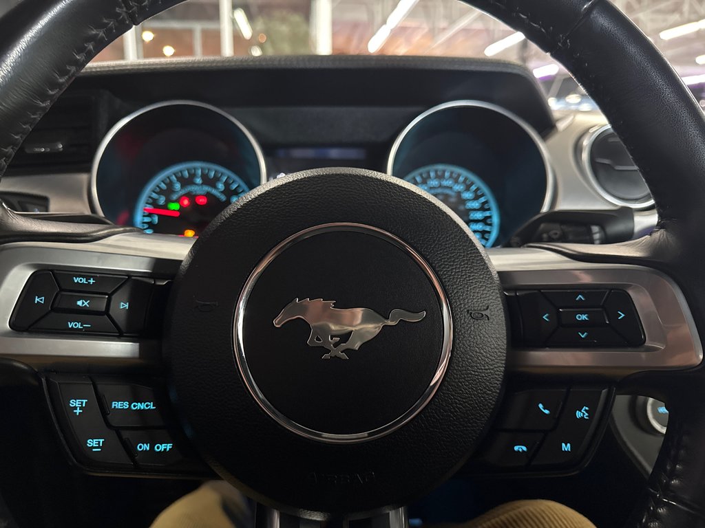 Ford Mustang GT Premium 2021 à Saint-Jean-Sur-Richelieu, Québec - 11 - w1024h768px