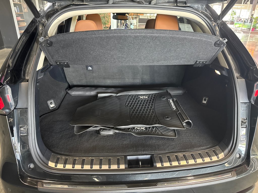 Lexus NX 300 LUXURY 2018 à Saint-Jean-Sur-Richelieu, Québec - 6 - w1024h768px