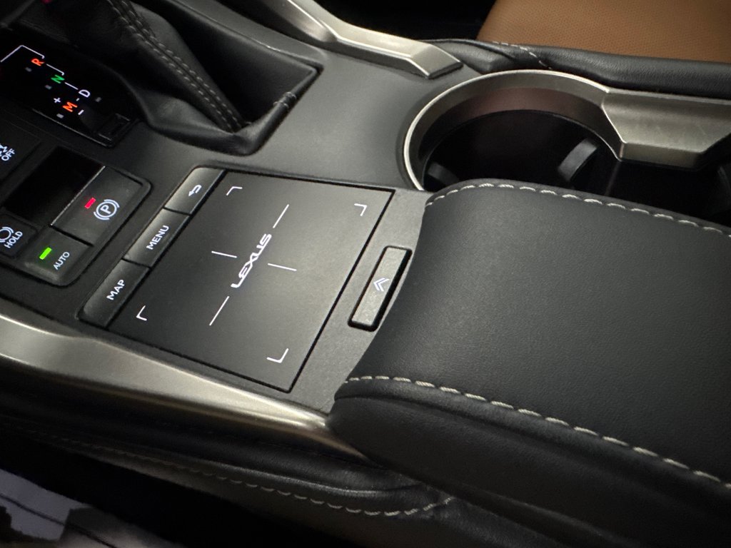 Lexus NX 300 LUXURY 2018 à Saint-Jean-Sur-Richelieu, Québec - 15 - w1024h768px