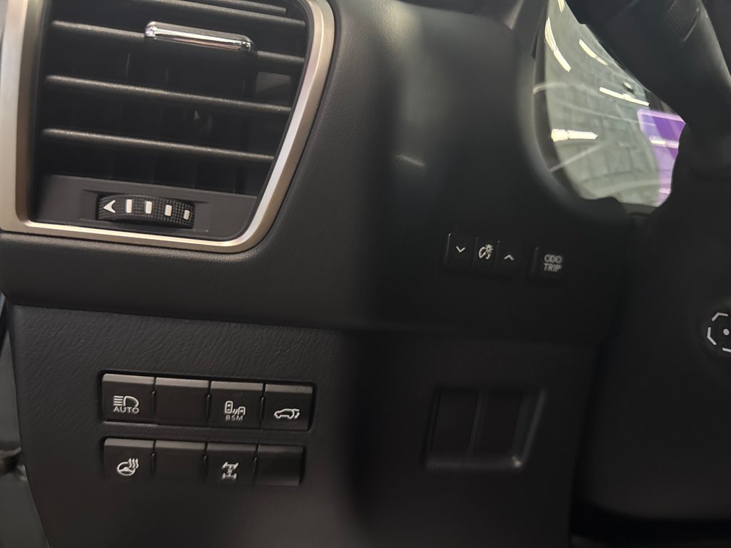Lexus NX 300 LUXURY 2018 à Saint-Jean-Sur-Richelieu, Québec - 12 - w1024h768px