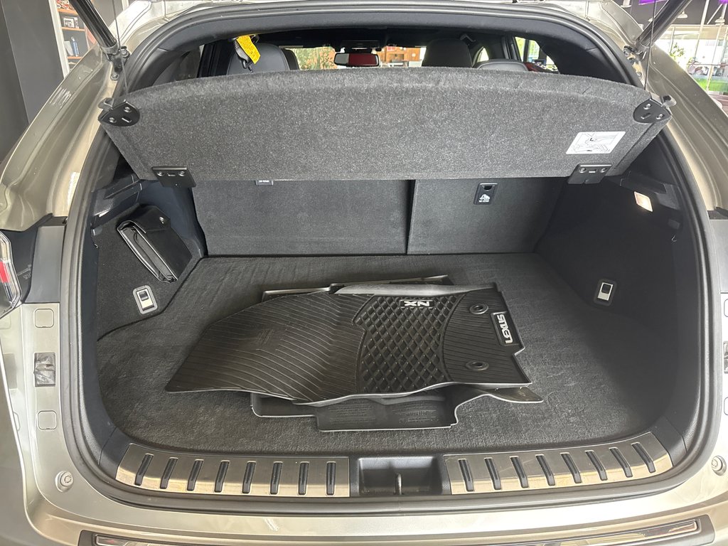 Lexus NX 300 2020 à Saint-Jean-Sur-Richelieu, Québec - 7 - w1024h768px