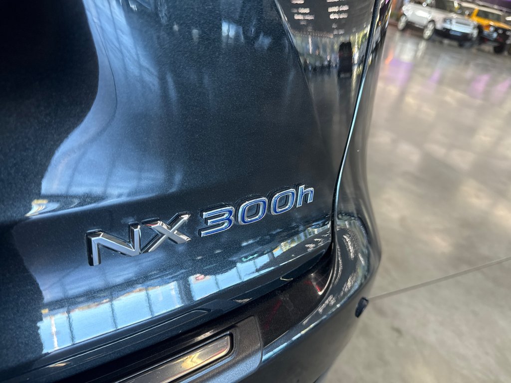 Lexus NX 300h LUXURY 2020 à Saint-Jean-Sur-Richelieu, Québec - 9 - w1024h768px