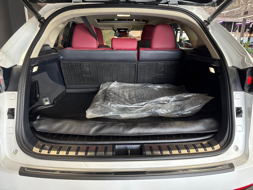 2021 Lexus NX 300h PREMIUM in Saint-Jean-Sur-Richelieu, Quebec - 9 - w1024h768px