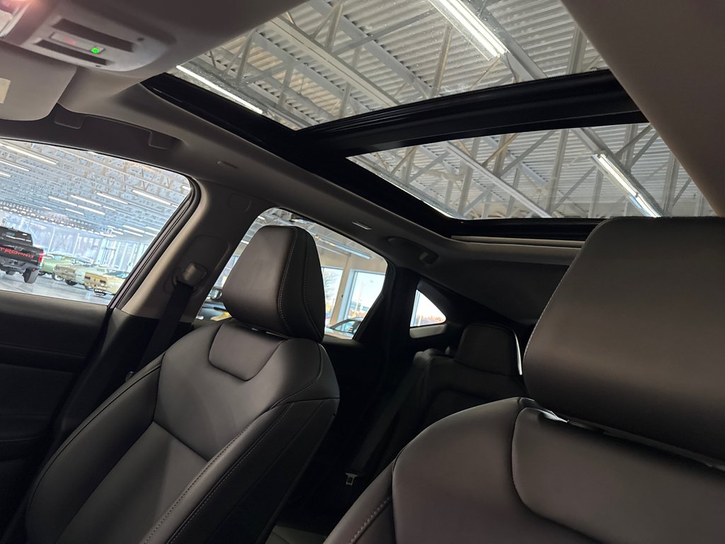 2025 Nissan Murano SL in Saint-Jean-Sur-Richelieu, Quebec - 11 - w1024h768px