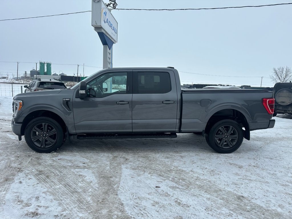 Ford F-150 XLT SPORT 4X4 CREW V6 3.5L 2023 à St-Jean-Sur-Richelieu, Québec - 6 - w1024h768px