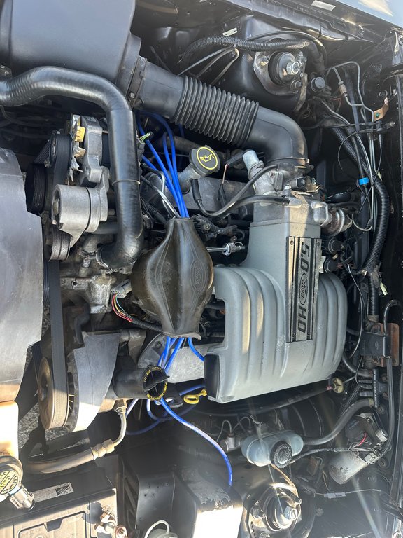 1988 Ford Mustang GT 5.0 Voiture de collection A VOIR !!! in St-Jean-Sur-Richelieu, Quebec - 31 - w1024h768px
