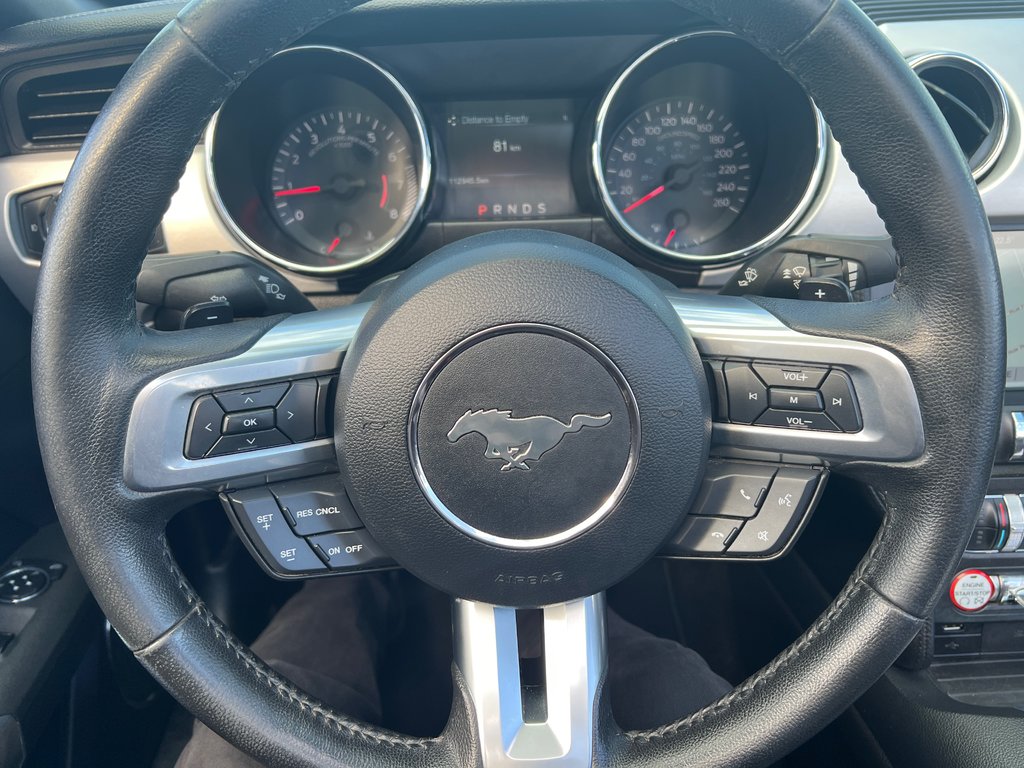 Mustang GT Premium Convertible 2015 à St-Jean-Sur-Richelieu, Québec - 18 - w1024h768px