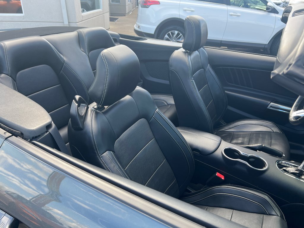 2015  Mustang GT Premium Convertible in St-Jean-Sur-Richelieu, Quebec - 15 - w1024h768px