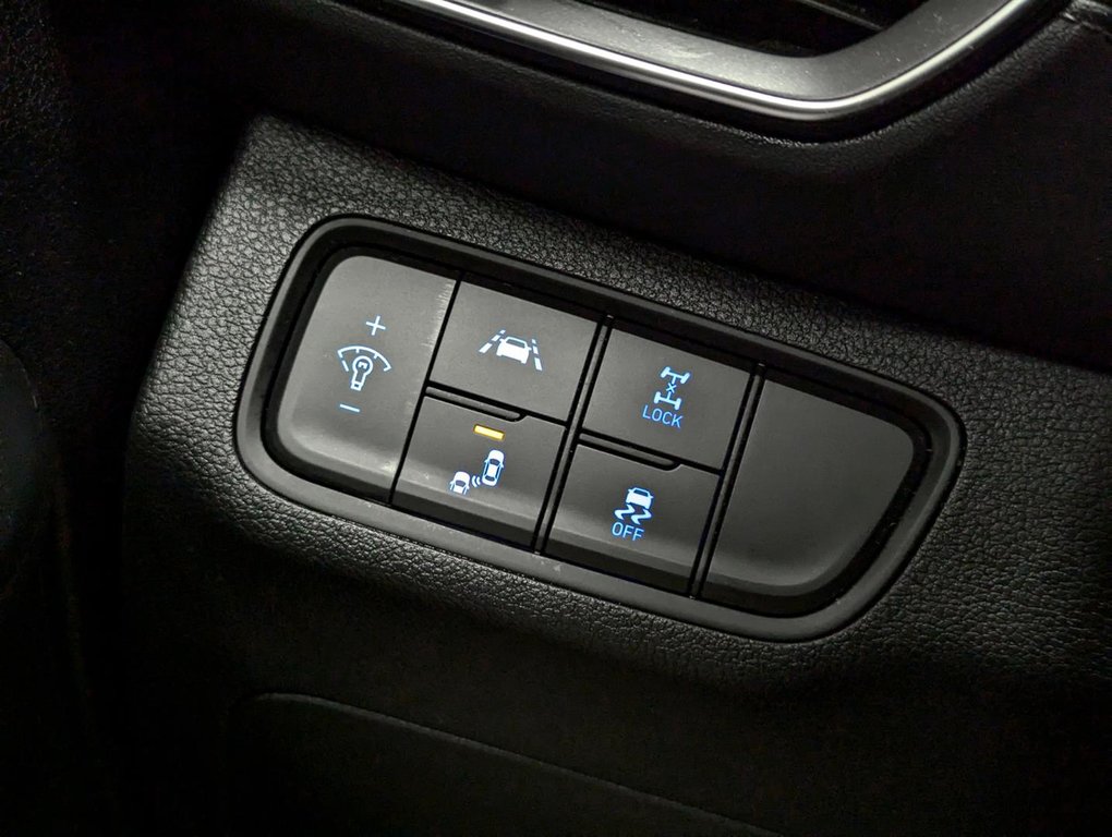 2019 Hyundai Santa Fe 2.4L Preferred AWD in Sherbrooke, Quebec - 18 - w1024h768px