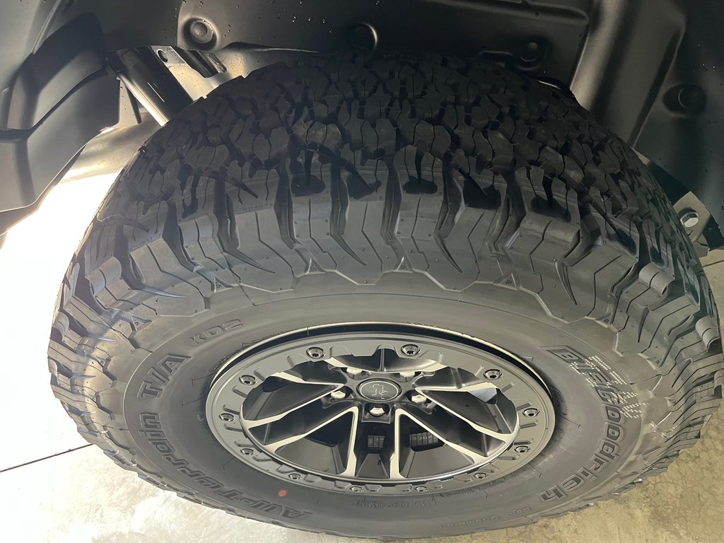 2025 Jeep Wrangler 4-Door WILLYS in Grand-Sault and Edmunston, New Brunswick - 5 - w1024h768px