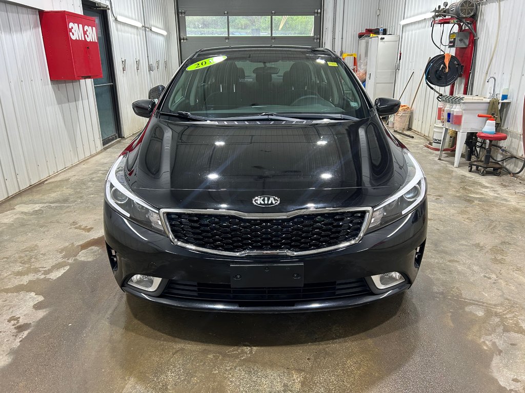 Kia FORTE  2018 à Grand-Sault et Edmunston, Nouveau-Brunswick - 2 - w1024h768px