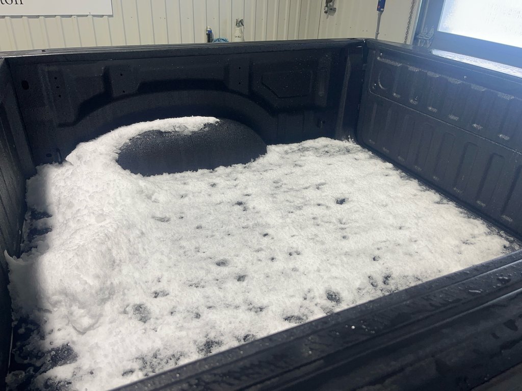 2025 Ram 1500 TRADESMAN in Grand-Sault and Edmunston, New Brunswick - 8 - w1024h768px