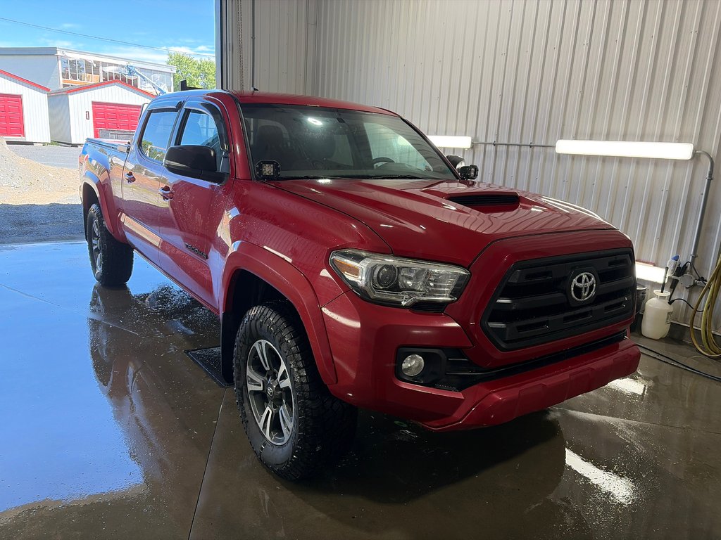 Toyota TACOMA DBL CAB SR5/TRD  2017 à Grand-Sault et Edmunston, Nouveau-Brunswick - 2 - w1024h768px