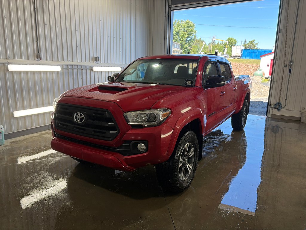 Toyota TACOMA DBL CAB SR5/TRD  2017 à Grand-Sault et Edmunston, Nouveau-Brunswick - 1 - w1024h768px