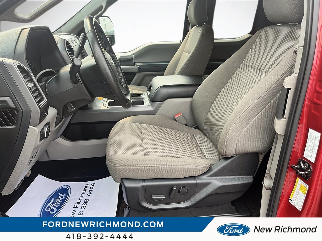 Ford F-150 XLT cabine simple 4RM caisse de 6,5 pi 2019 à New Richmond, Québec - 7 - w1024h768px