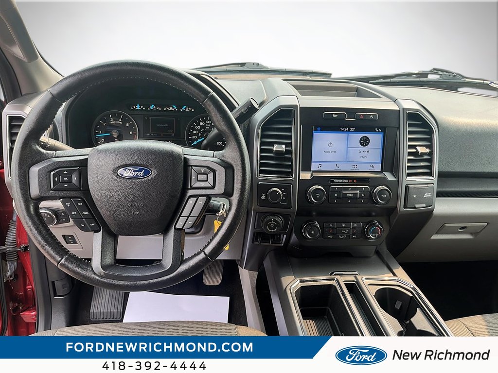 Ford F-150 XLT cabine simple 4RM caisse de 6,5 pi 2019 à New Richmond, Québec - 8 - w1024h768px