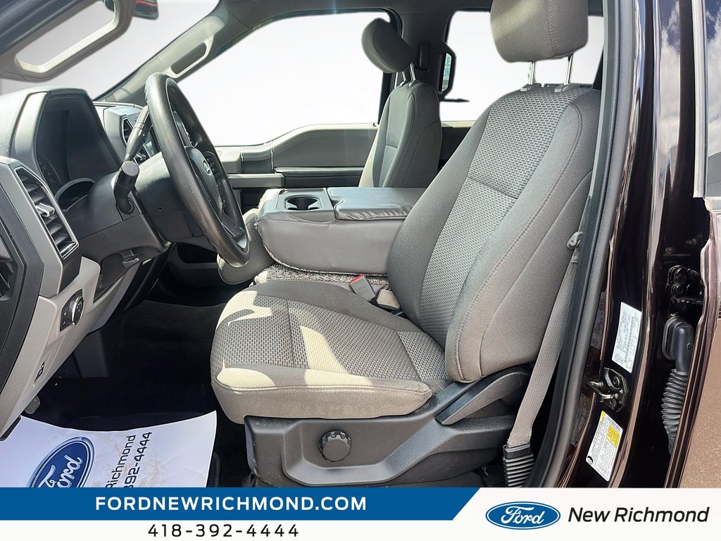 Ford F-150 XLT cabine SuperCrew 4RM caisse de 5,5 pi 2019 à New Richmond, Québec - 7 - w1024h768px